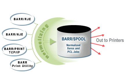 Data can be configured to normalize automatically